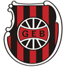 Escudo atual do Brasil de Pelotas